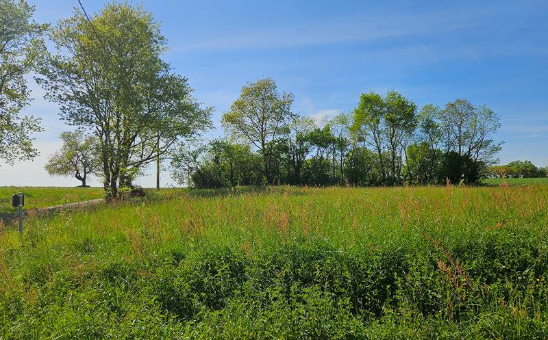 Vente Terrain FORGUES - -2100 m² - (31370)