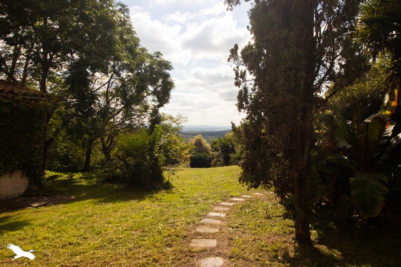 Vente Maison BELUS - 7 pièces -360 m² - (40300)