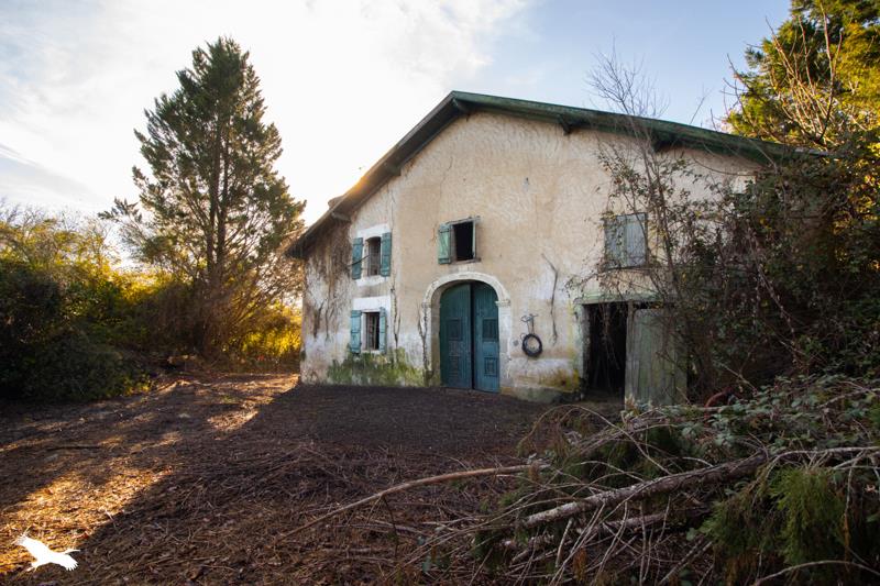 Vente Maison CAME - 6 pièces -380 m² - (64520)