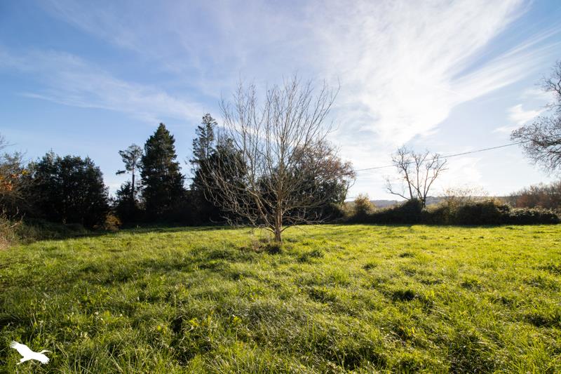 Vente Maison CAME - 6 pièces -380 m² - (64520)