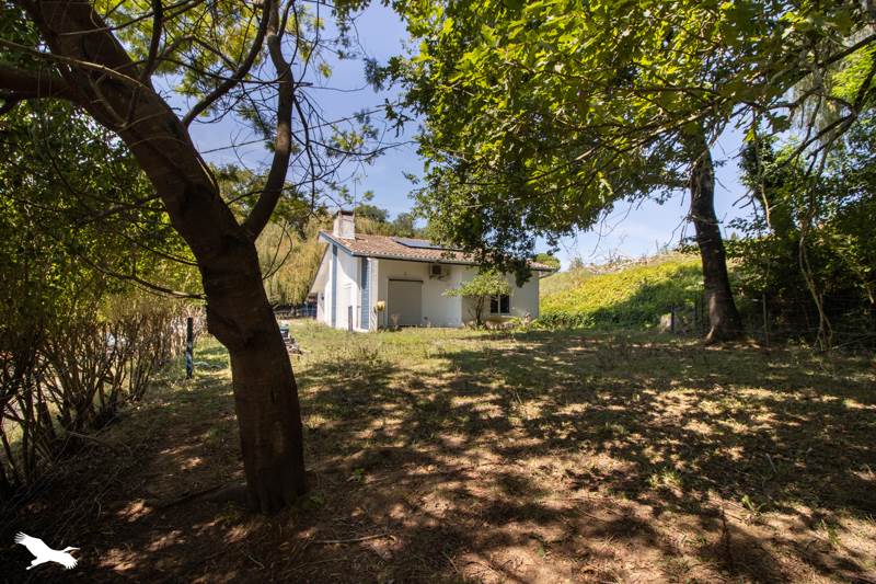 Vente Maison PEYREHORADE - 6 pièces -110 m² - (40300)