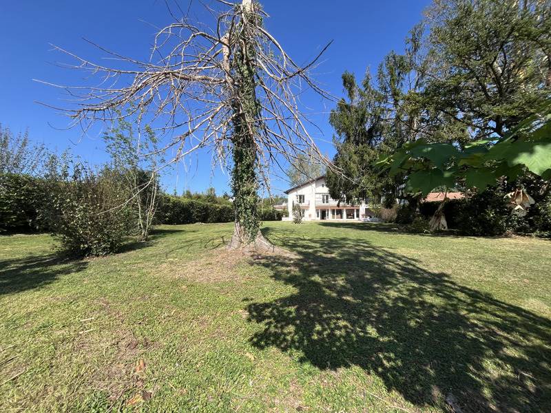 Vente Maison Peyrehorade - 15 pièces -350 m² - (40300)