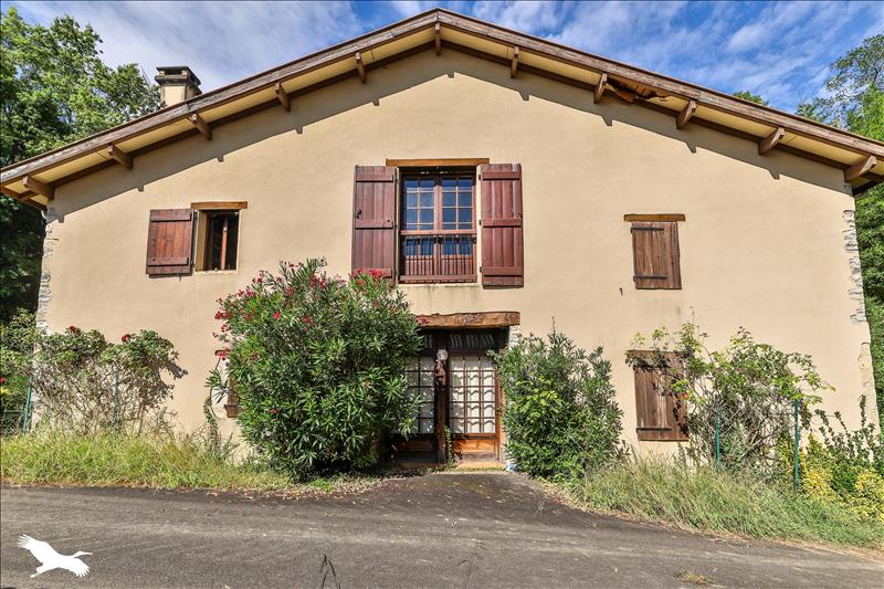 Vente Maison PEYREHORADE - 13 pièces -370 m² - (40300)