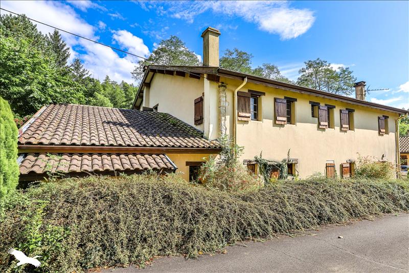 Vente Maison PEYREHORADE - 13 pièces -370 m² - (40300)