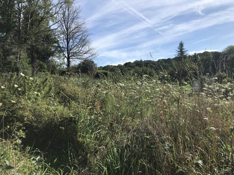 Vente Terrain PLOUNEVEZEL - -455 m² - (29270)