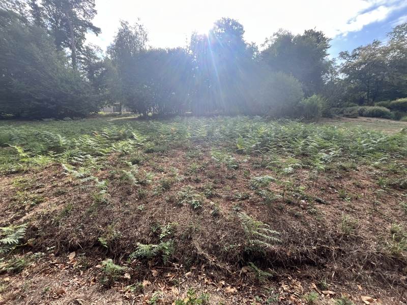 Vente Terrain TREFFRIN - -1652 m² - (22340)