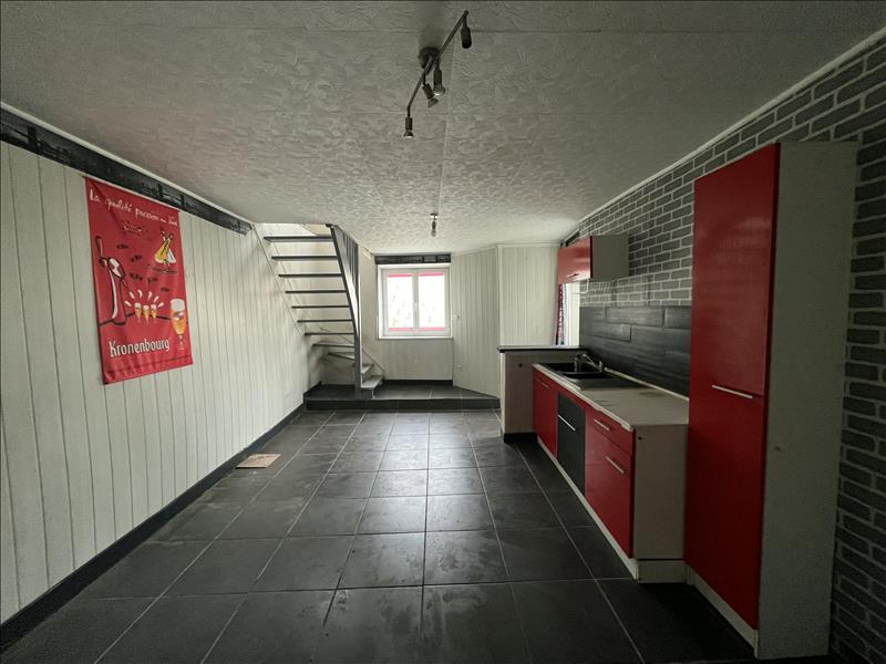 Vente Immeuble POULLAOUEN - -  270 m² - (29690)