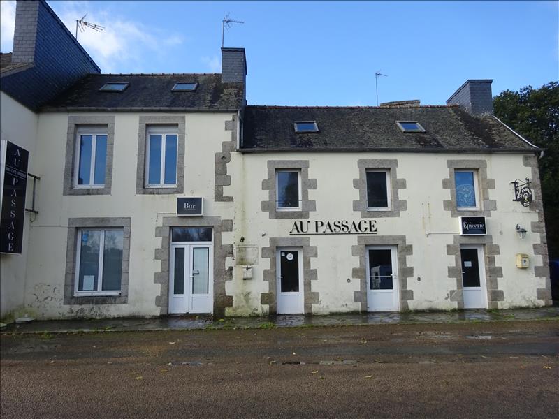Vente Immeuble POULLAOUEN - -  270 m² - (29690)