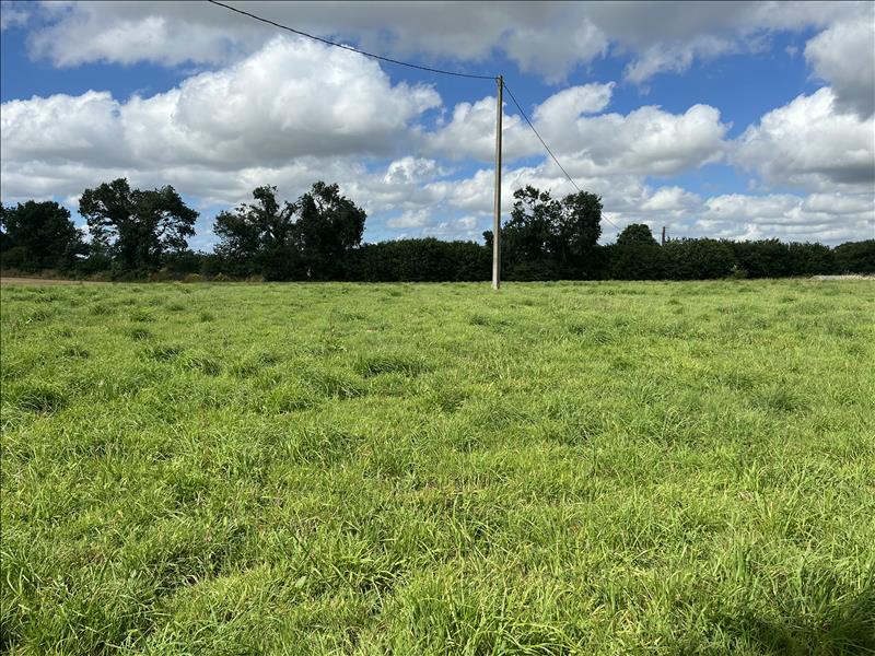 Vente Terrain TREBRIVAN - -6818 m² - (22340)