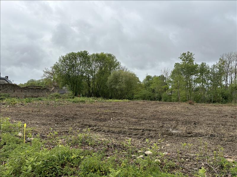 Vente Terrain LOURENTIES - -3750 m² - (64420)