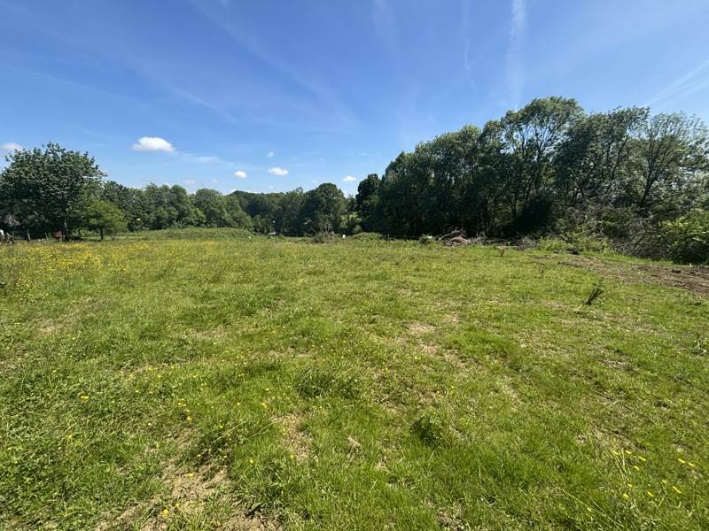 Vente Terrain LUQUET - -1480 m² - (65320)
