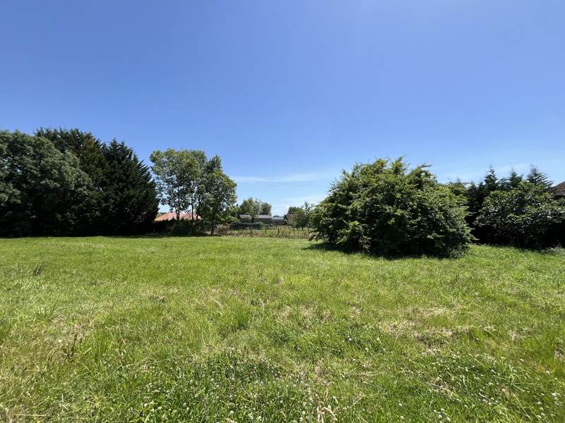 Vente Terrain BOUGARBER - -1077 m² - (64230)