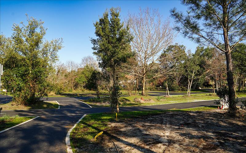Vente Terrain BENESSE MAREMNE - -572 m² - (40230)