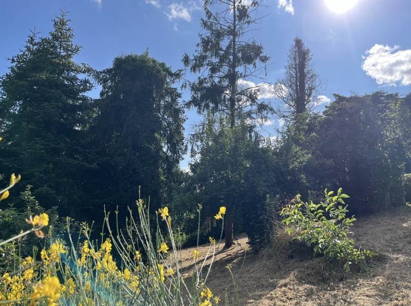 Vente Maison PONT DE BUIS LES QUIMERCH - 3 pièces -49 m² - (29590)