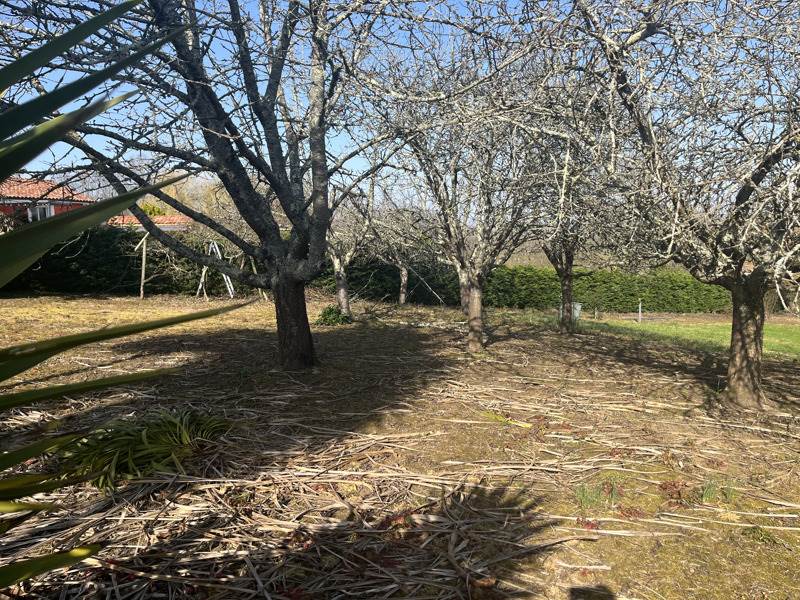 Vente Terrain MONTFORT EN CHALOSSE - -1961 m² - (40380)