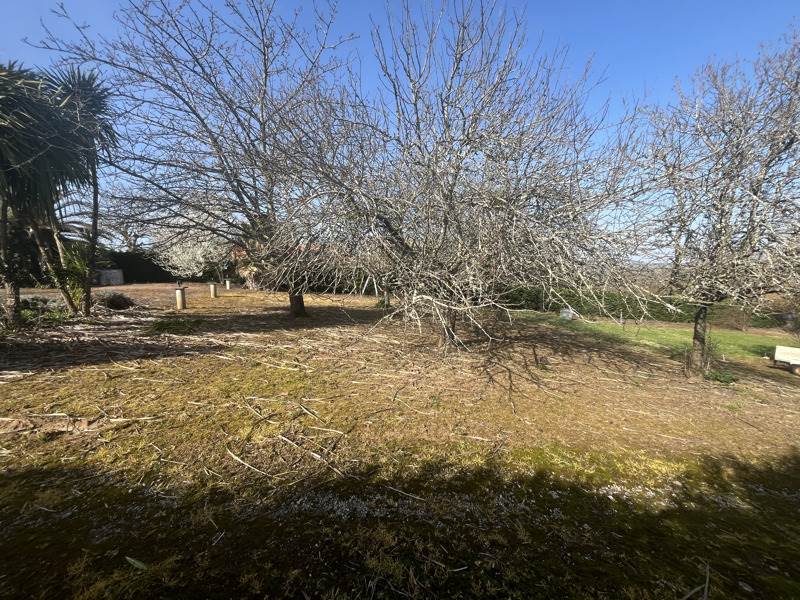 Vente Terrain MONTFORT EN CHALOSSE - -1961 m² - (40380)