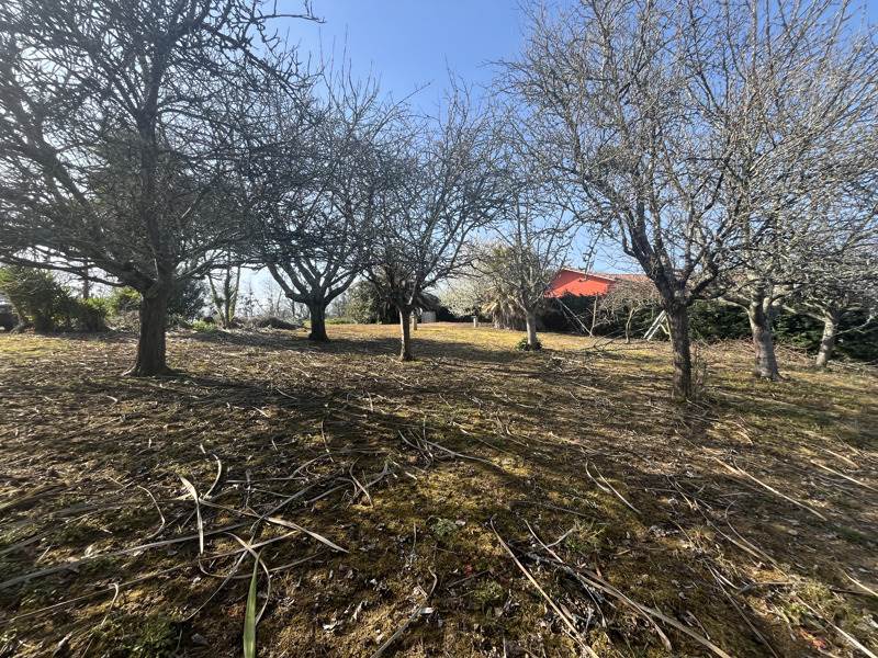 Vente Terrain MONTFORT EN CHALOSSE - -1961 m² - (40380)