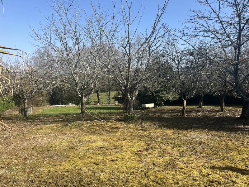Vente Terrain MONTFORT EN CHALOSSE - -1961 m² - (40380)