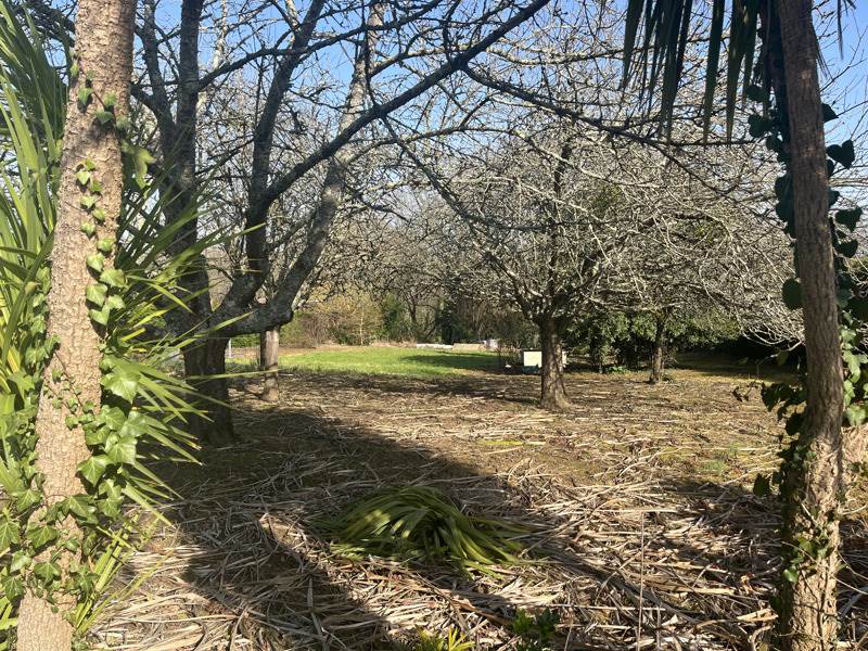 Vente Terrain MONTFORT EN CHALOSSE - -1961 m² - (40380)