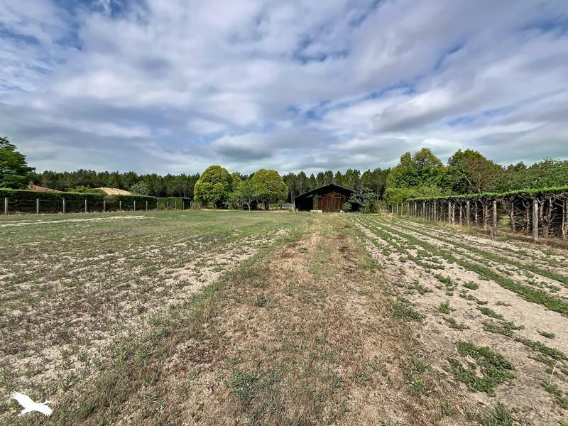 Vente Maison CARCEN PONSON - 4 pièces -70 m² - (40400)