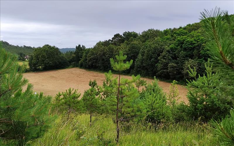 Vente Terrain TRELISSAC - -1640 m² - (24750)