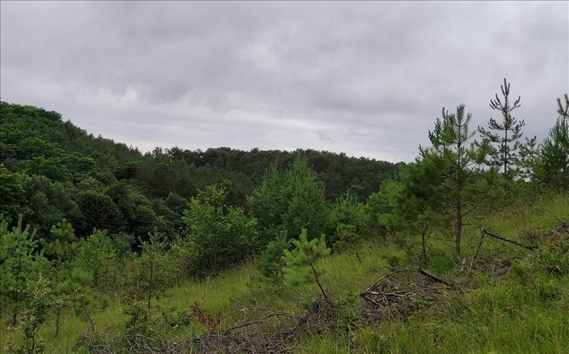 Vente Terrain TRELISSAC - -1511 m² - (24750)