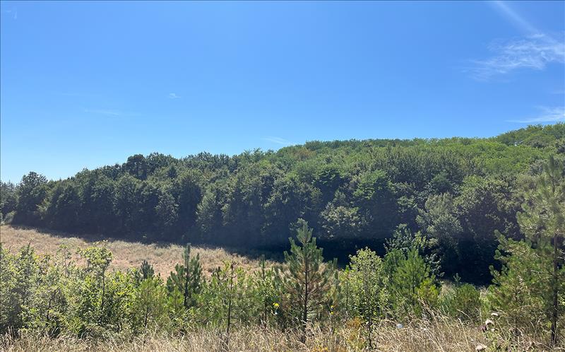 Vente Terrain TRELISSAC - -1417 m² - (24750)