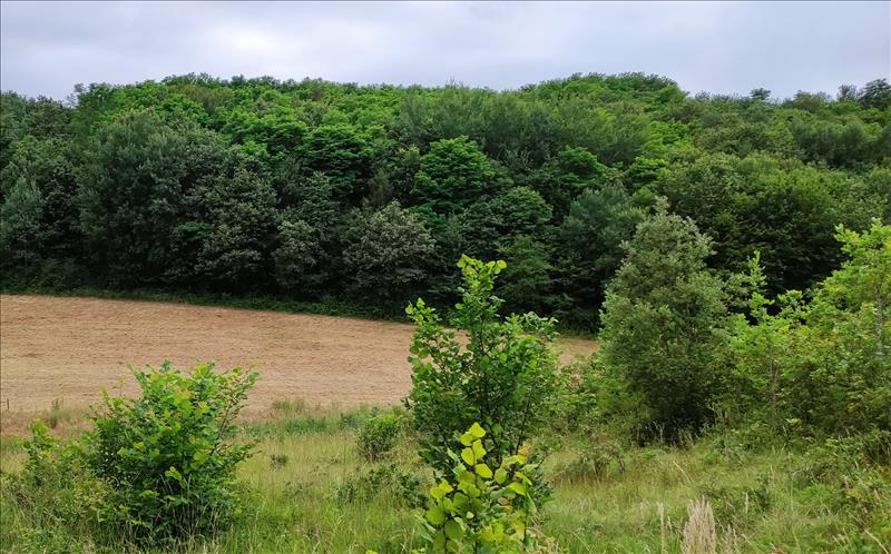 Vente Terrain TRELISSAC - -1382 m² - (24750)
