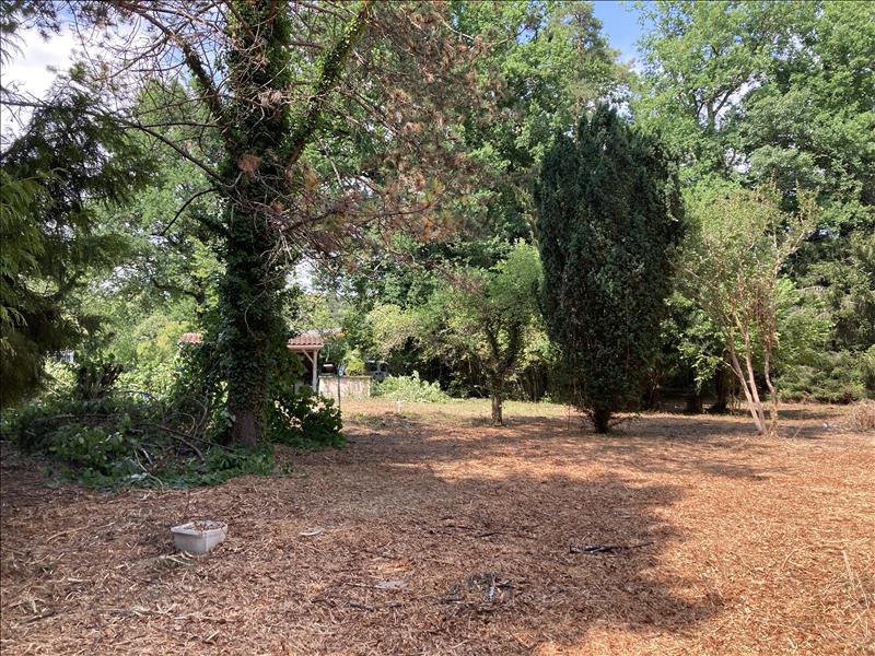 Vente Terrain ANTONNE ET TRIGONANT - -871 m² - (24420)