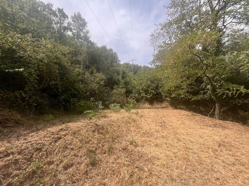 Vente Maison THOUARS - 4 pièces -87 m² - (79100)