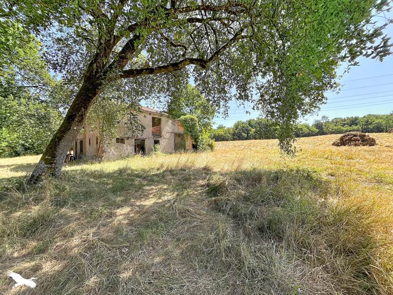 Vente Immeuble LIGNAN DE BORDEAUX 33360  150 m²