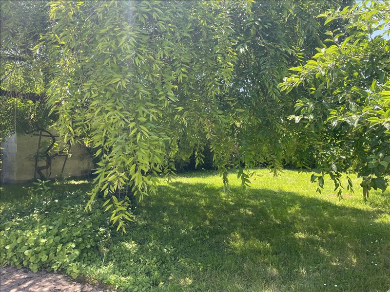 Vente Terrain SAINTES - -778 m² - (17100)