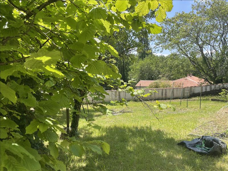 Vente Terrain SAINTES - -778 m² - (17100)