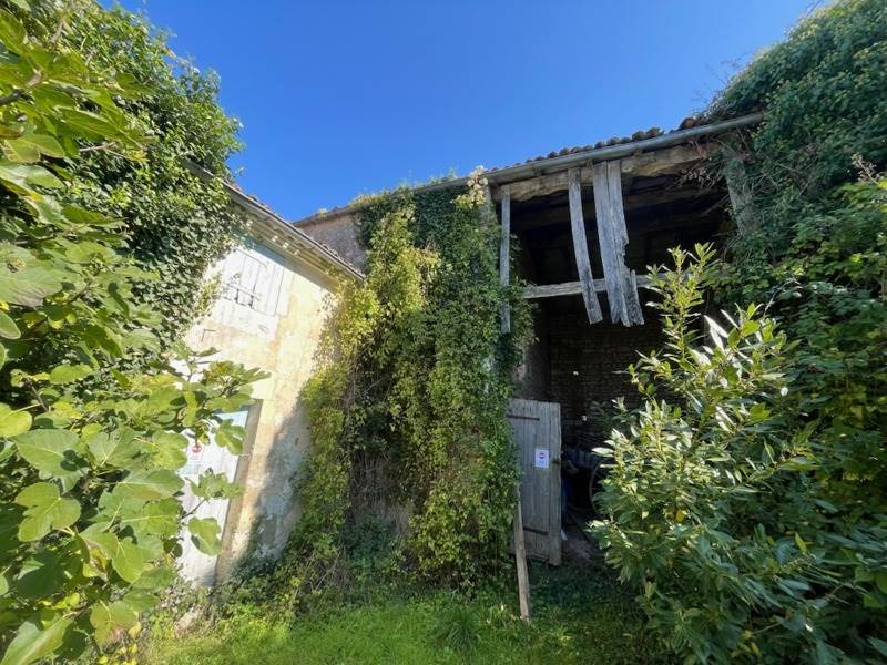 Vente Maison NIEUL LES SAINTES - 4 pièces -90 m² - (17810)