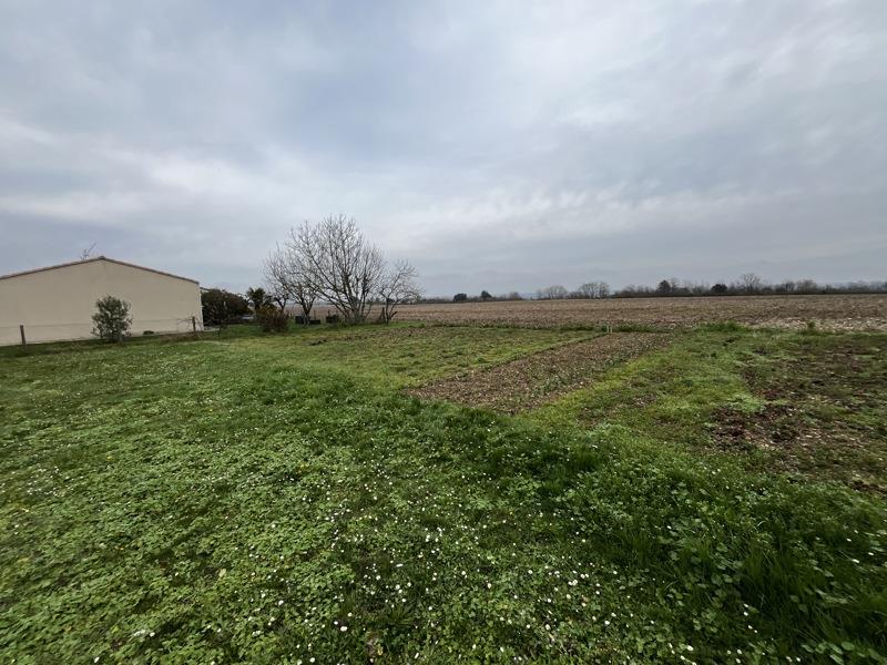 Vente Terrain ST GEORGES DES COTEAUX - -974 m² - (17810)