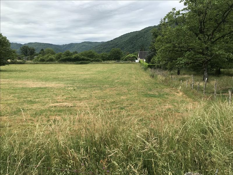 Vente Terrain MONCEAUX SUR DORDOGNE - -3691 m² - (19400)