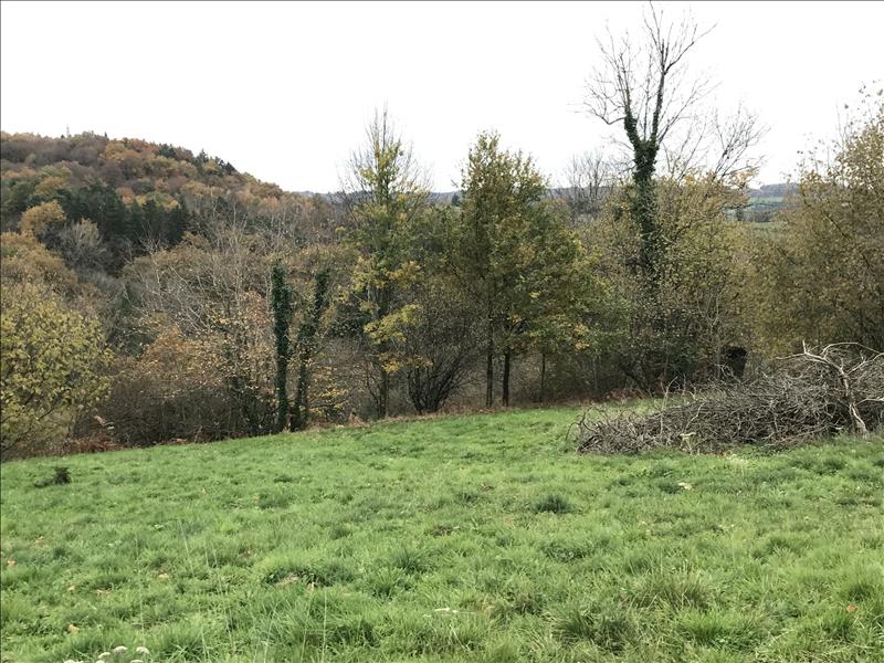 Vente Grange ST CIRGUES LA LOUTRE - 1 pièce - - (19220)