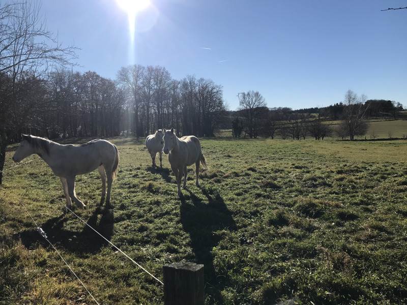 Vente Maison SEXCLES - 10 pièces -245 m² - (19430)