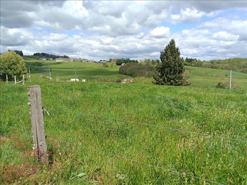 Vente Terrain ALBUSSAC - -2500 m² - (19380)