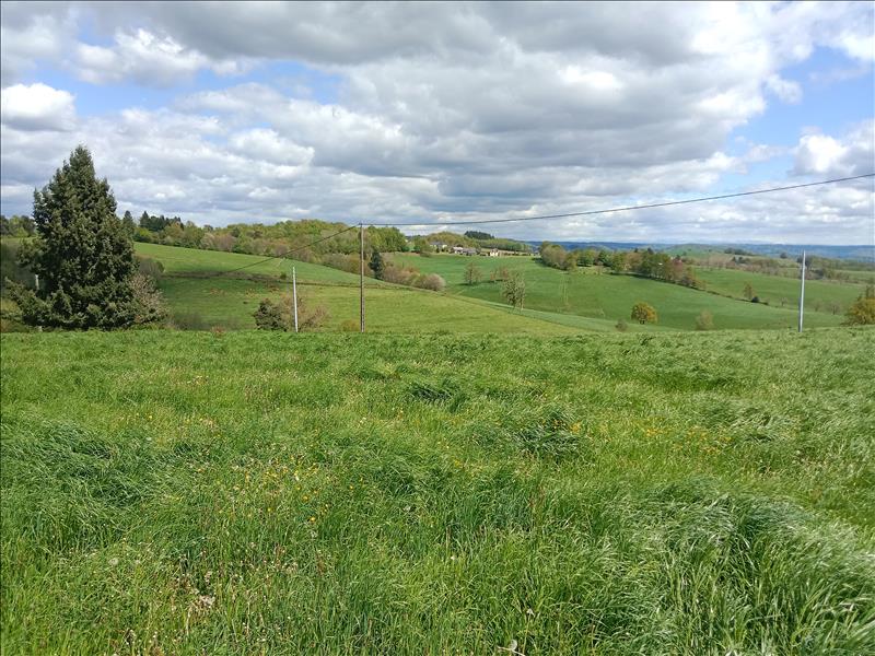 Vente Terrain ALBUSSAC - -2500 m² - (19380)