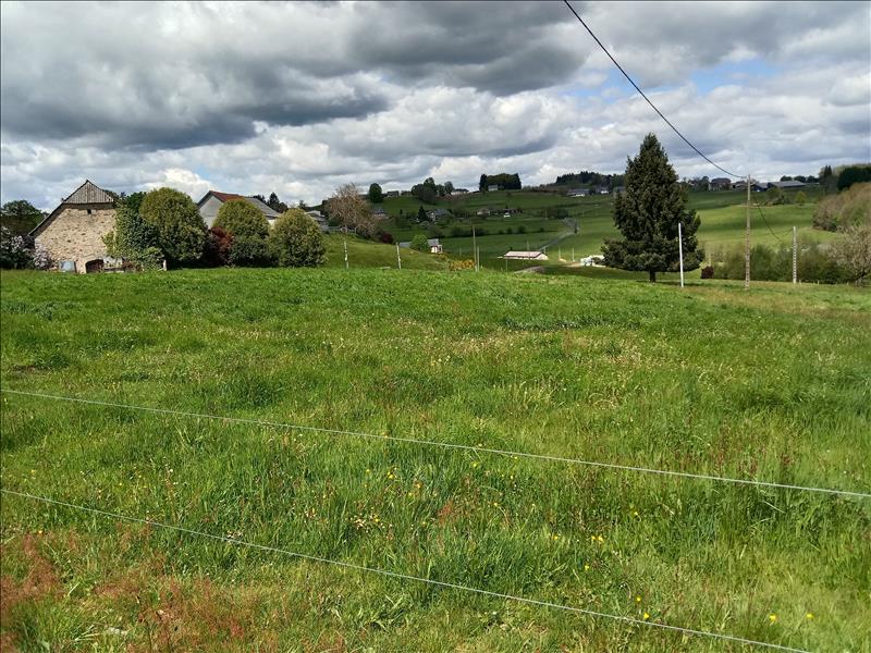Vente Terrain ALBUSSAC - -2500 m² - (19380)