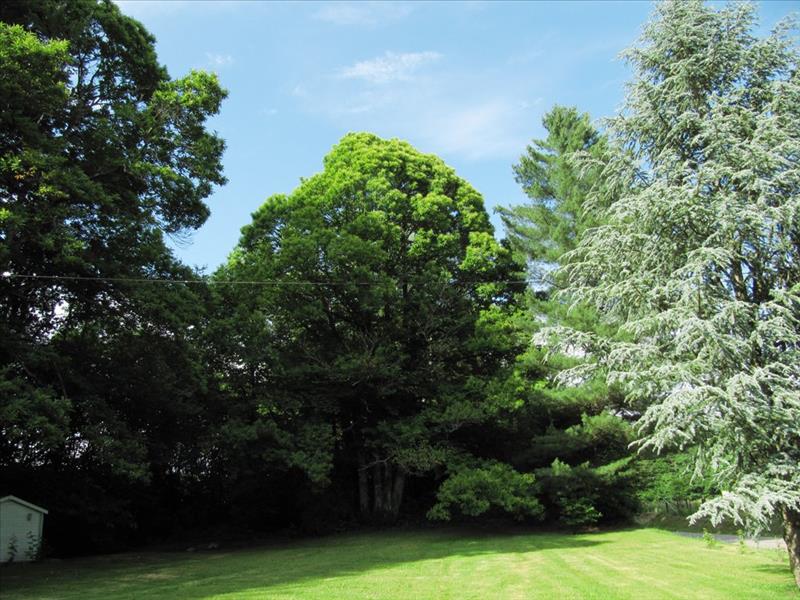 Vente Maison NEUVILLE - 6 pièces -158 m² - (19380)