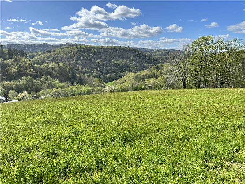 Vente Terrain ARGENTAT SUR DORDOGNE - -1500 m² - (19400)