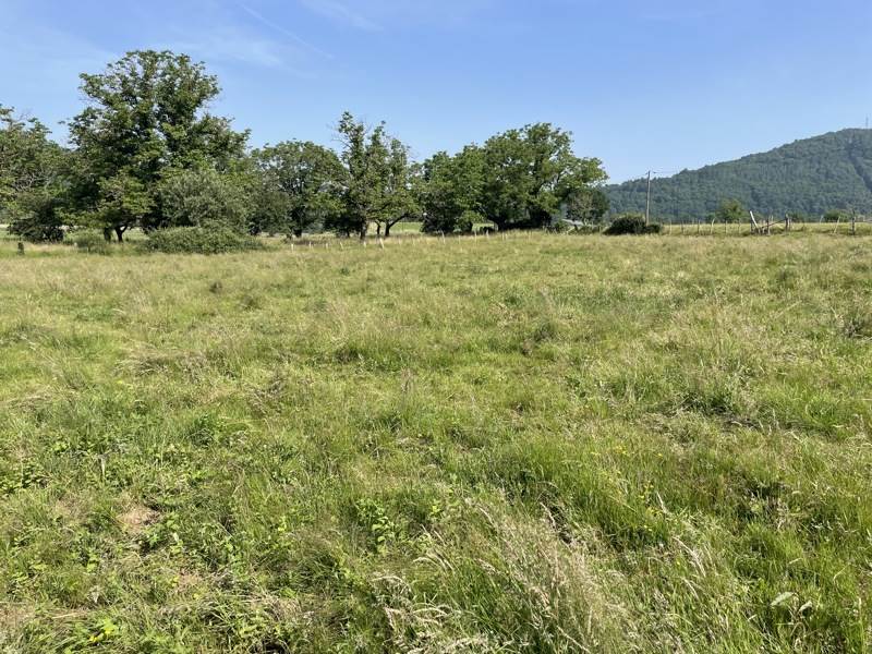 Vente Terrain MONCEAUX SUR DORDOGNE - -1572 m² - (19400)