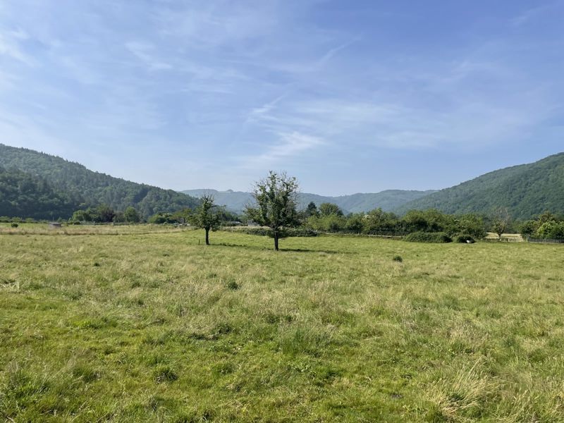 Vente Terrain MONCEAUX SUR DORDOGNE - -1572 m² - (19400)
