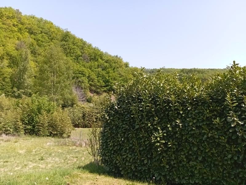 Vente Maison MONCEAUX SUR DORDOGNE - 4 pièces -110 m² - (19400)