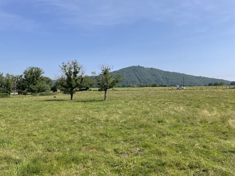 Vente Terrain MONCEAUX SUR DORDOGNE - -1910 m² - (19400)