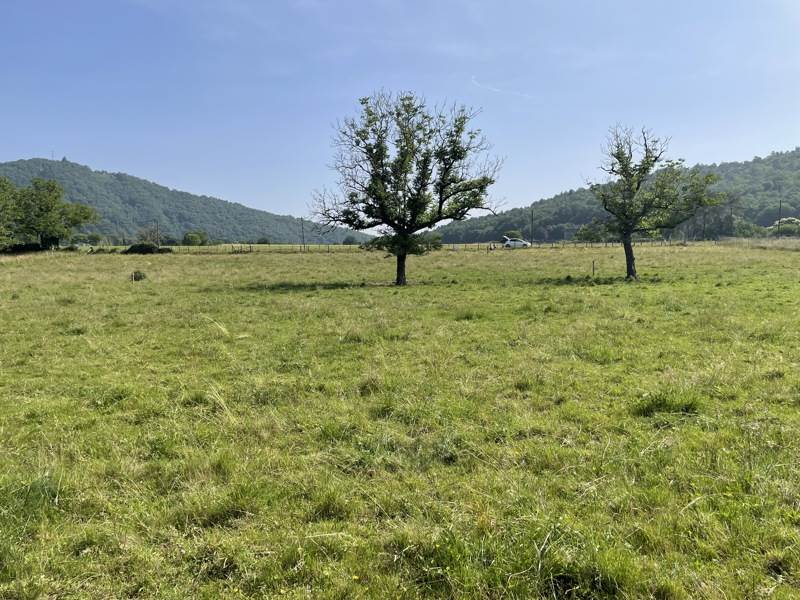 Vente Terrain MONCEAUX SUR DORDOGNE - -1758 m² - (19400)