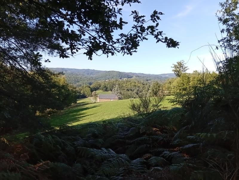 Vente Maison MONCEAUX SUR DORDOGNE - 8 pièces -200 m² - (19400)