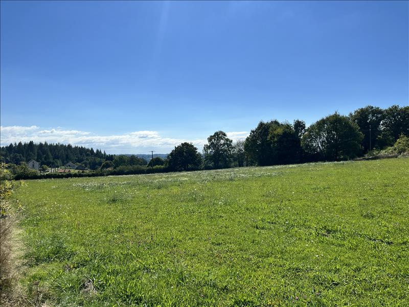 Vente Terrain ST JULIEN LE PELERIN - -3500 m² - (19430)